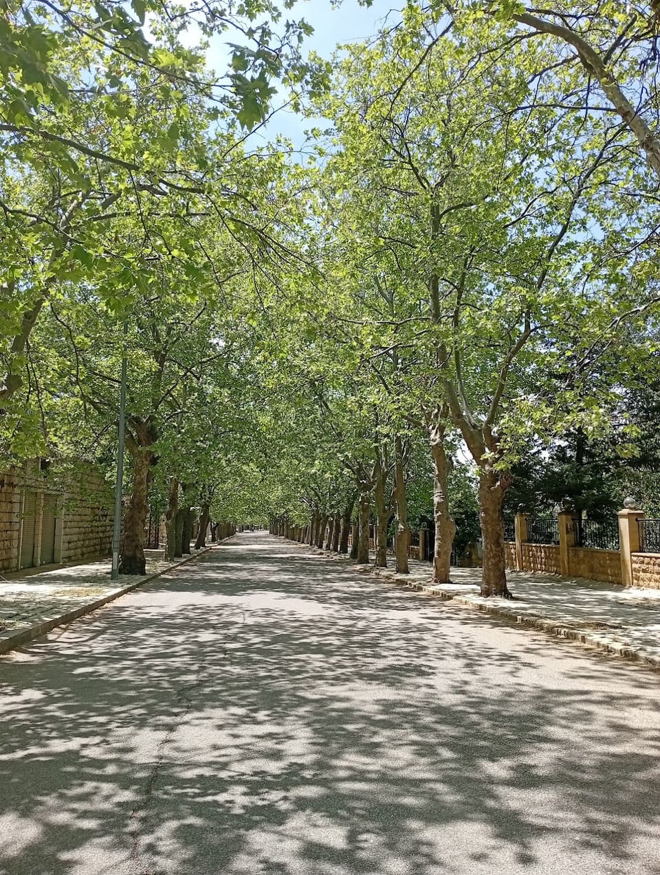 Soufar Boulevard
