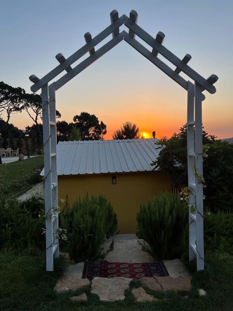 flora sol resort — photograph 4