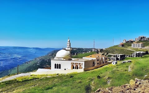 Masjid Abdullah Al Othman — photograph 5