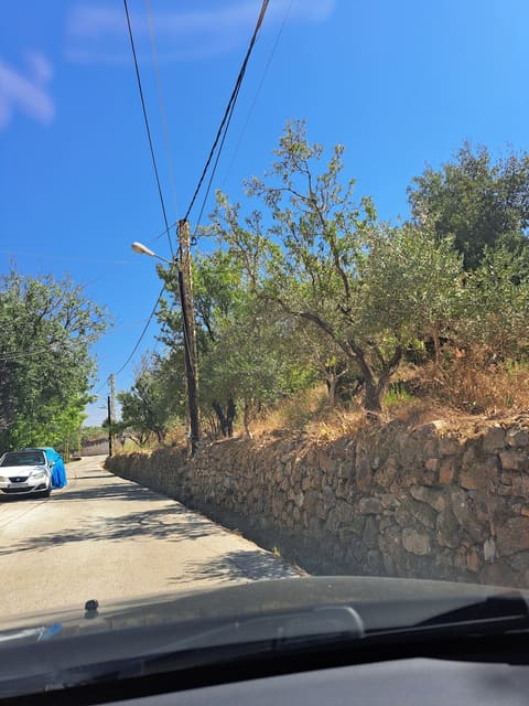 St. Charbel Church — photograph 6