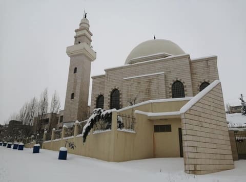 Outhman Mosque - Chanay — photograph 4