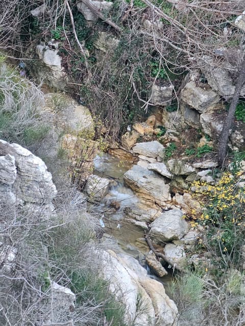 Shanay's river — photograph 2