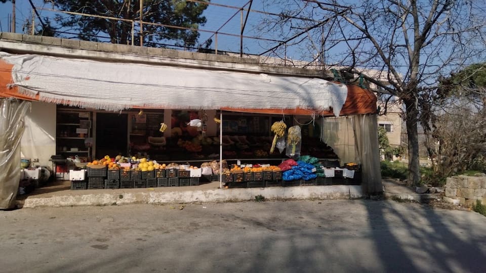 Shady vegetables & fruits