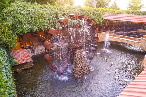 Nabaa Anjar Restaurant — photograph 4