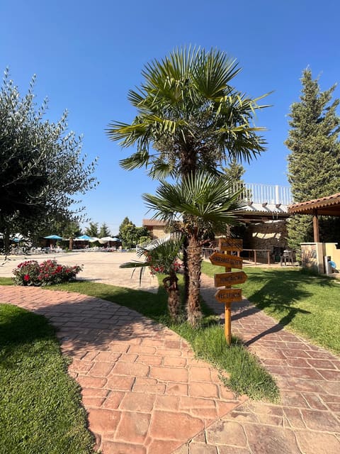 EAST RESORT — photograph 6