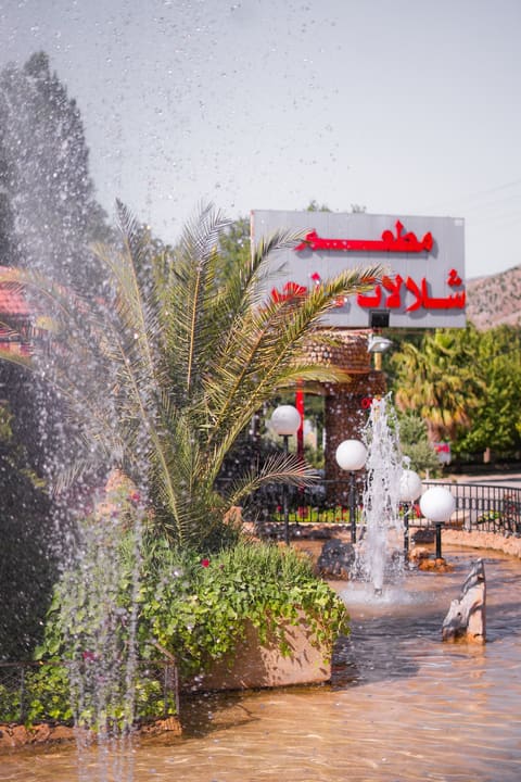Restaurant Shallalat Anjar — photograph 6