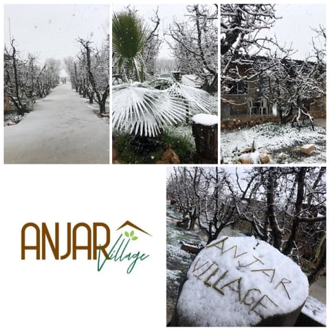 Anjar Village — photograph 6