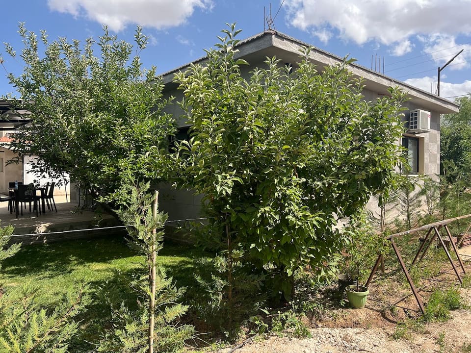 The Yard