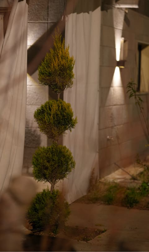 The Yard — photograph 3