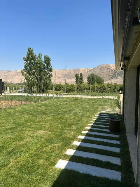 JardinDeBassil — photograph 5