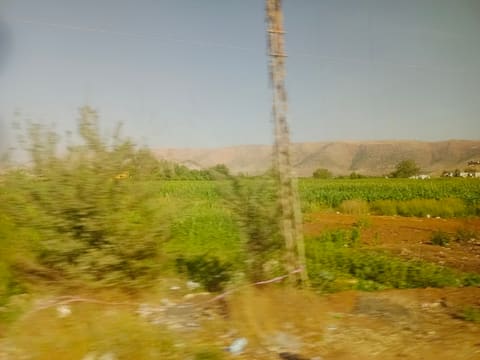 Zaizafon — photograph 6