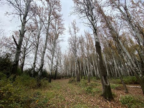 Anjar Eco Park — photograph 2
