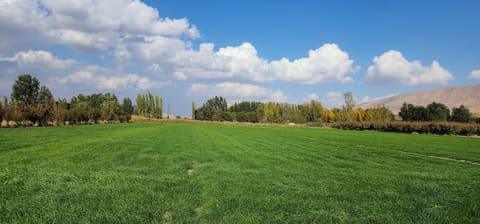 Anjar Eco Park — photograph 6