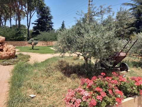 Դալար Անկիւն-Talar (Green) Corner — photograph 6