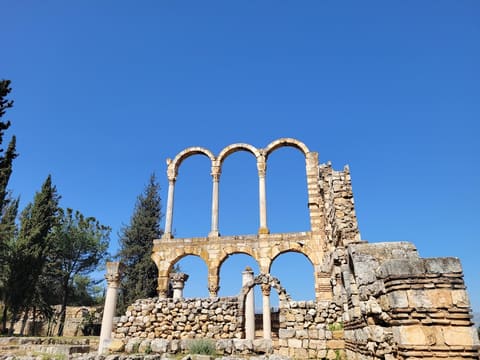 Umayyad City Ruins — photograph 6