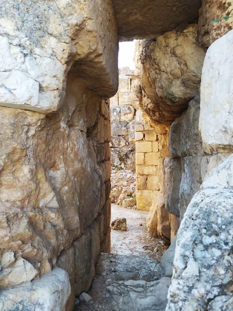 MAJDAL ANJAR TEMPLE — photograph 4
