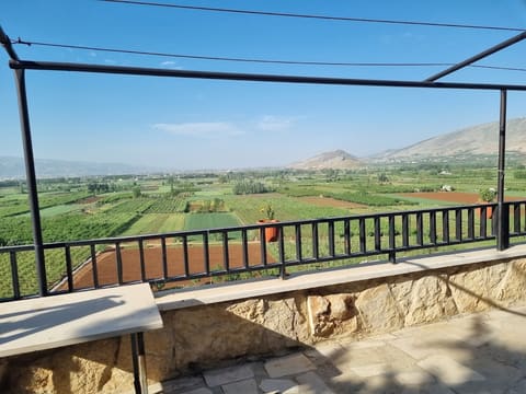 Tal Alnabi — photograph 3