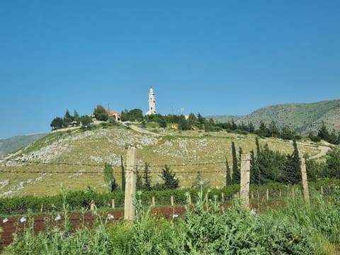 Tal Alnabi — photograph 5