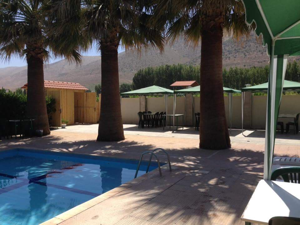 Nareg's Pool