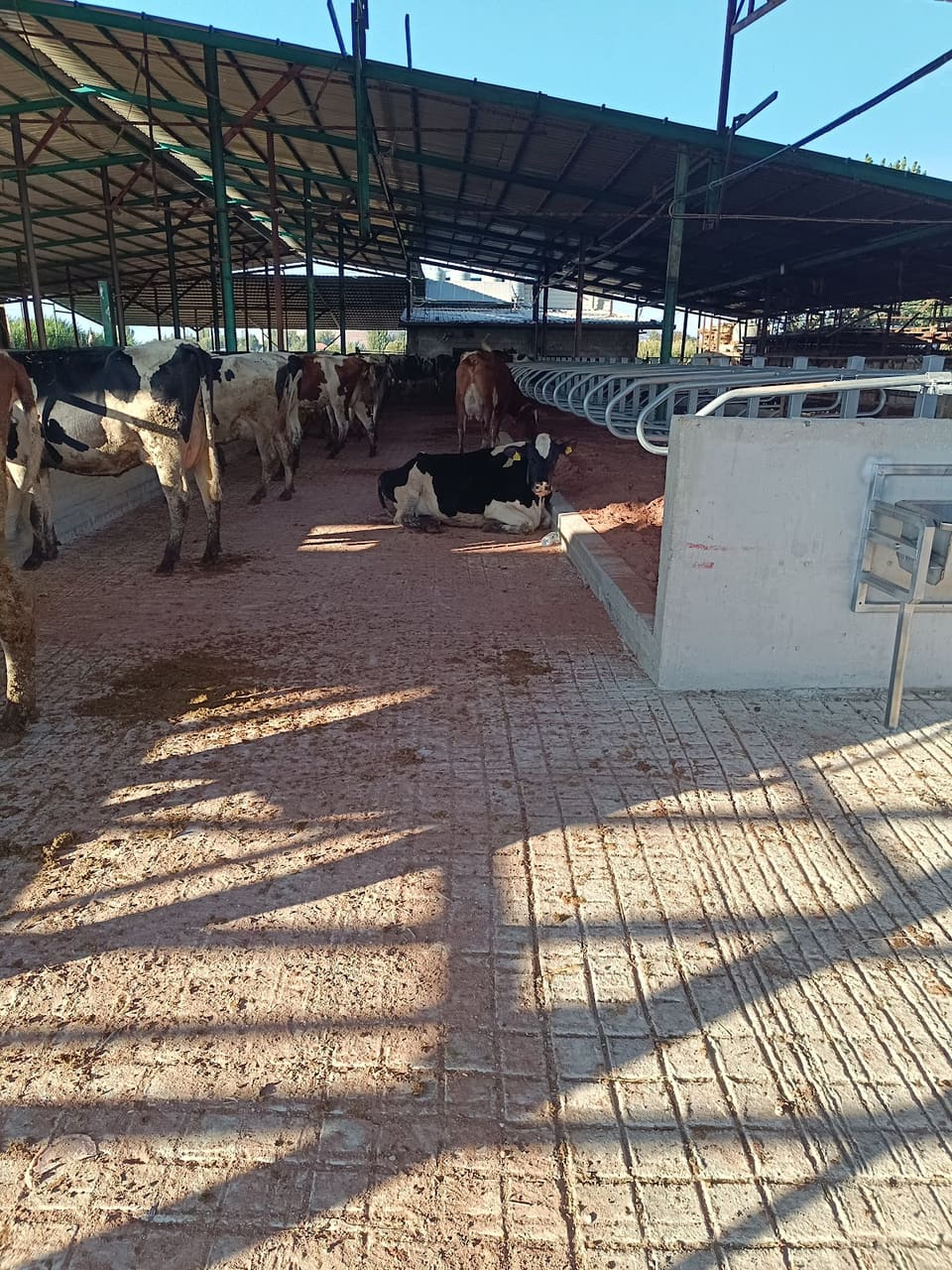 Atwi Farm