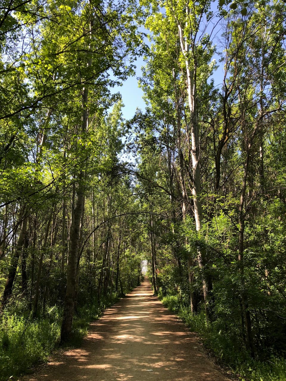 Taanayel Park