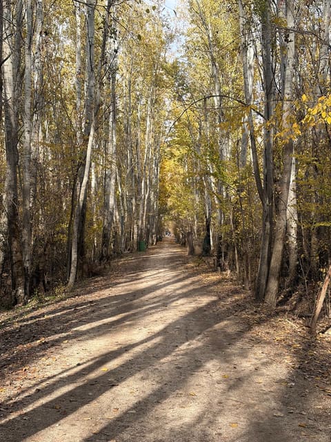 Taanayel Park — photograph 2