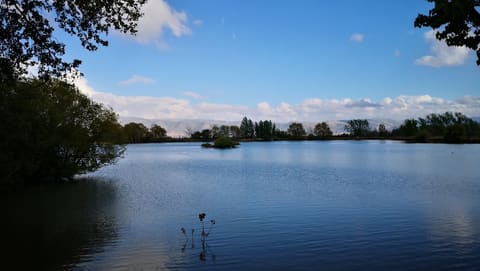 Taanayel Park — photograph 4