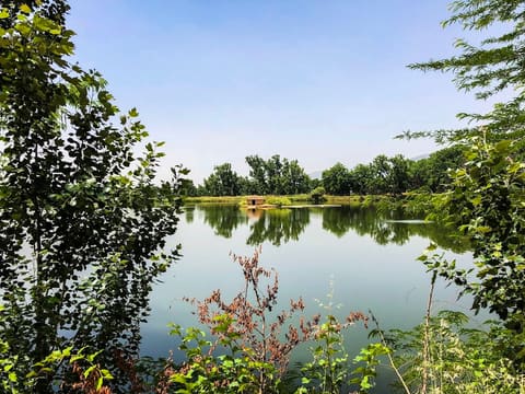 Taanayel Park — photograph 6