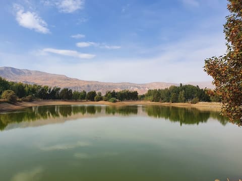 Domaine de Taanayel — photograph 2
