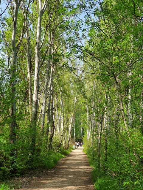 Domaine de Taanayel — photograph 5