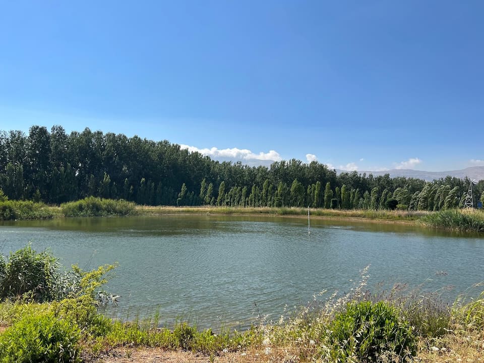 Deir Taanyal Lake