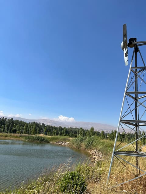 Deir Taanyal Lake — photograph 5