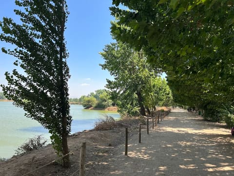 Deir Taanyal Lake — photograph 6