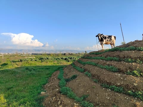 A Rocha Lebanon - Nature Park — photograph 2