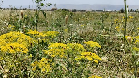 A Rocha Lebanon - Nature Park — photograph 4