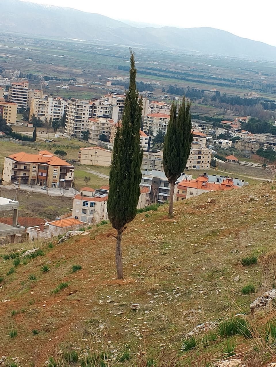 Jdita
