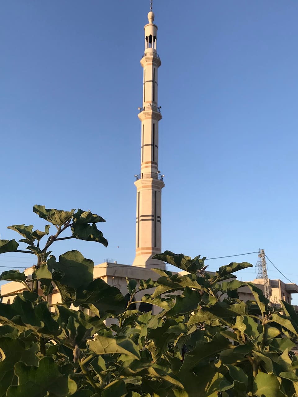 Masjed Khair Al Nisa