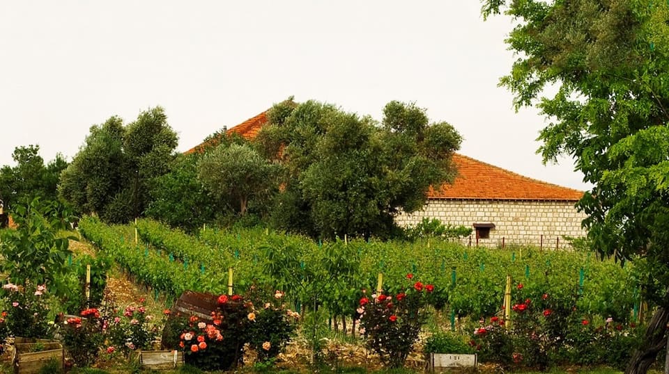 Domaine des Tourelles