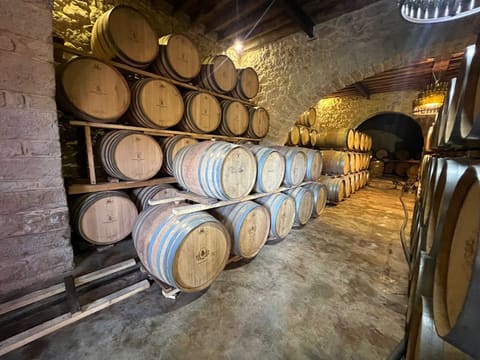 Domaine des Tourelles — photograph 6