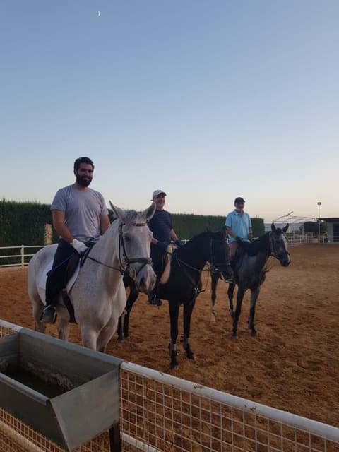 Al mazloum stud — photograph 2