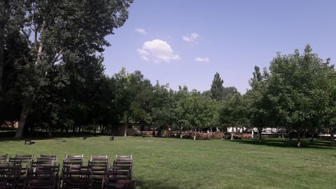 Karm El Joz — photograph 2