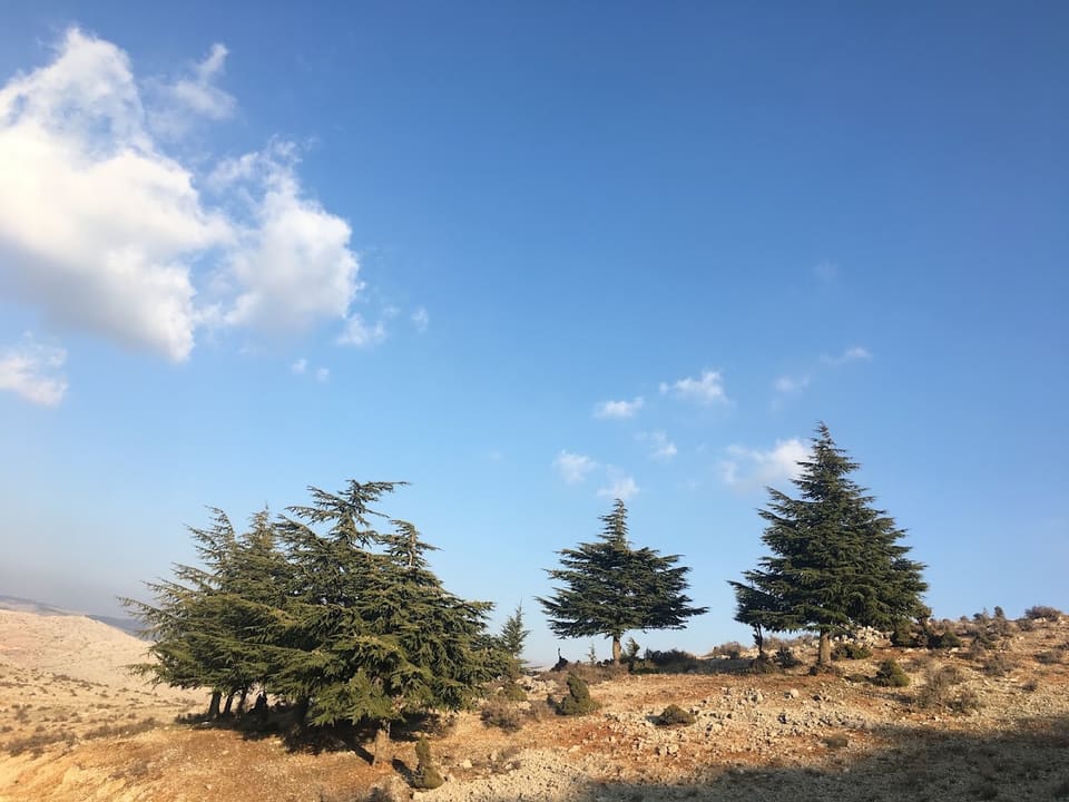 Harat Al Kawasba
