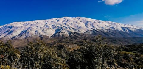 Manara Hill — photograph 2
