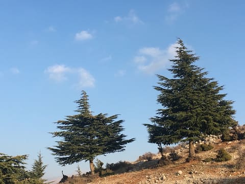 Manara Hill — photograph 4