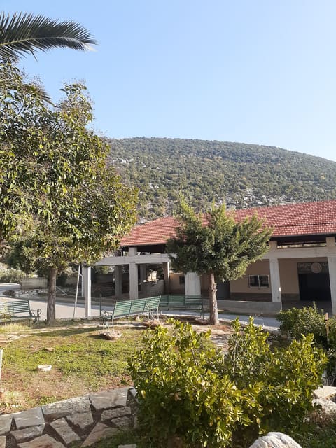 Bakkifa Public Garden And Park — photograph 4