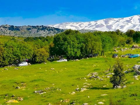 Boustan Village — photograph 5