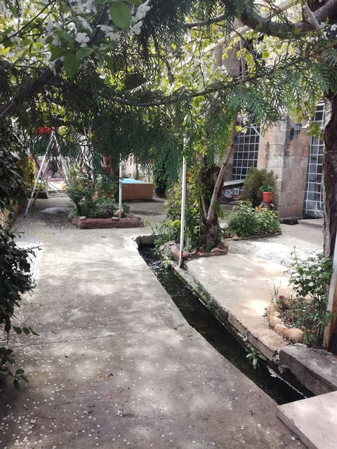 Mataam w Cafe Ain Bou Zaid — photograph 2