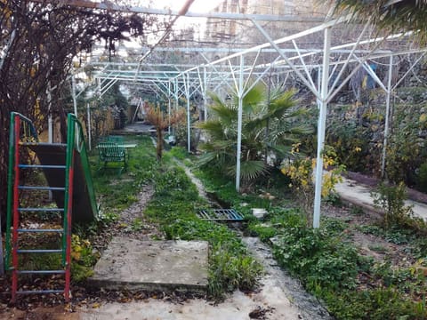 Mataam w Cafe Ain Bou Zaid — photograph 4