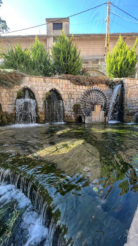 Mashgharah — photograph 2