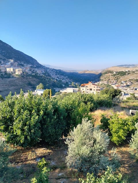 Mashgharah — photograph 5